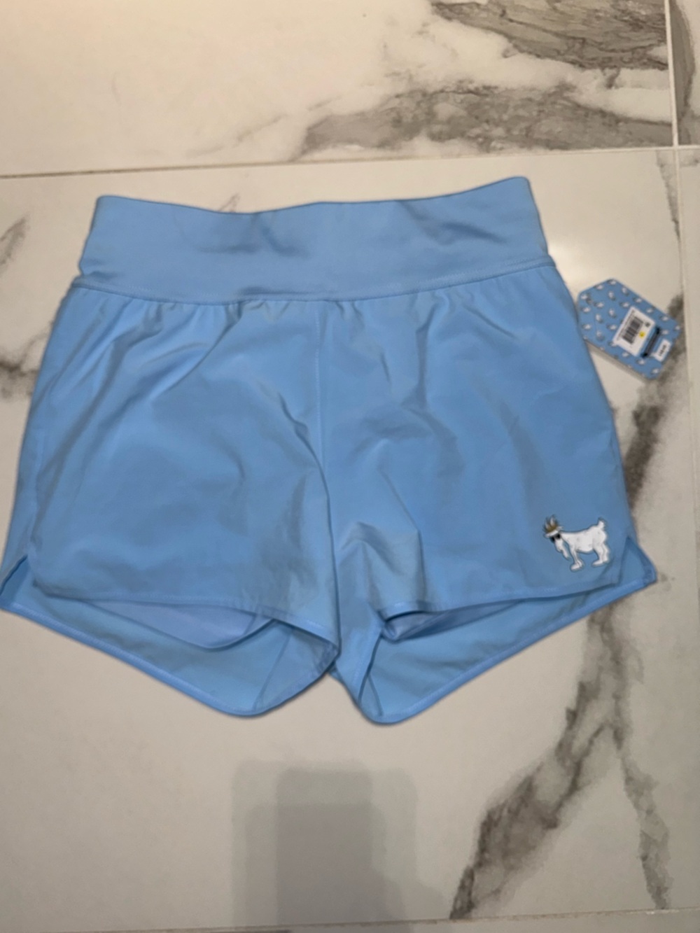 GOAT USA Light Blue Athletic Shorts with Goat Embroidery - Women